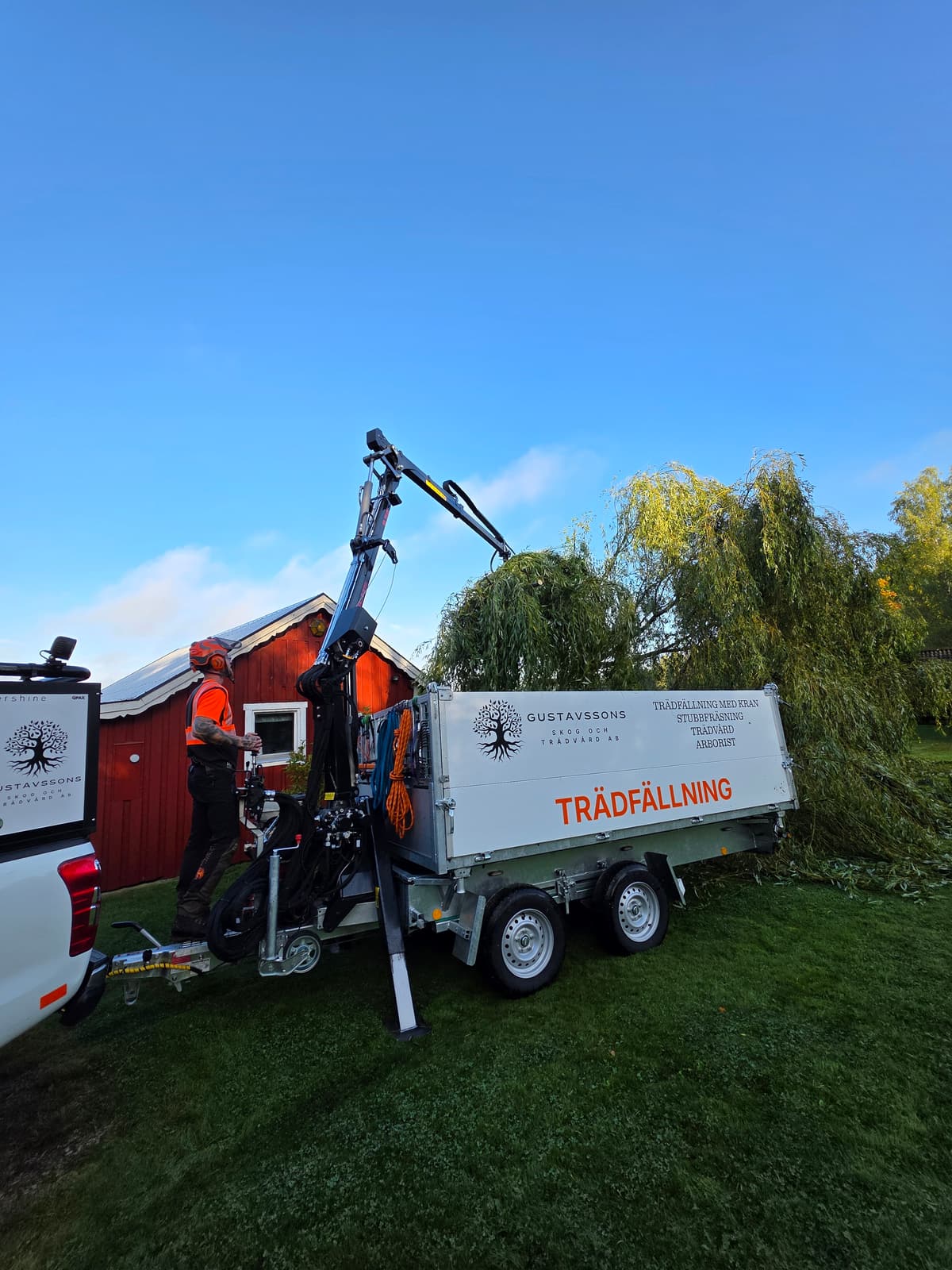 Projektbild 1 från trädvård och trädfällning utförd av Gustavssons Skog & Trädvård AB
