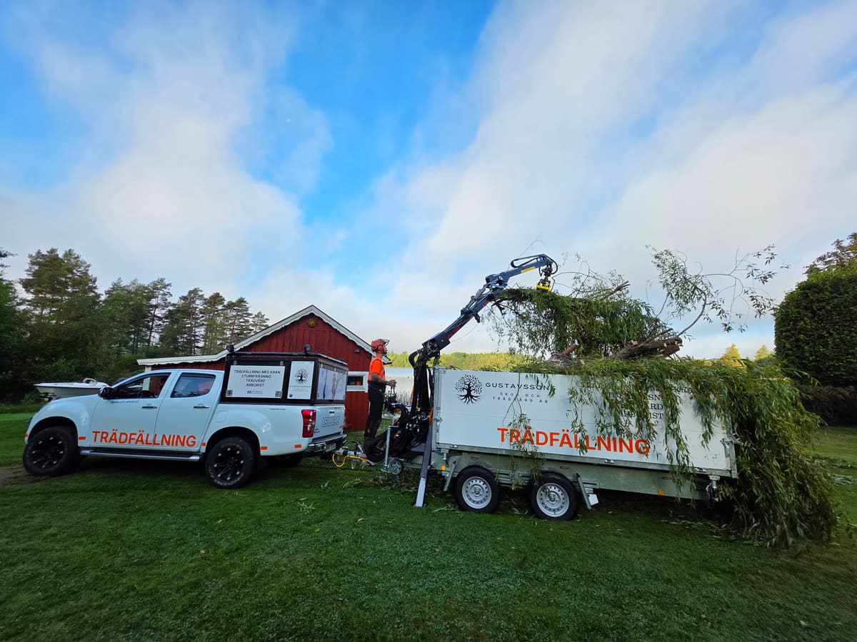 Projektbild 3 från trädvård och trädfällning utförd av Gustavssons Skog & Trädvård AB