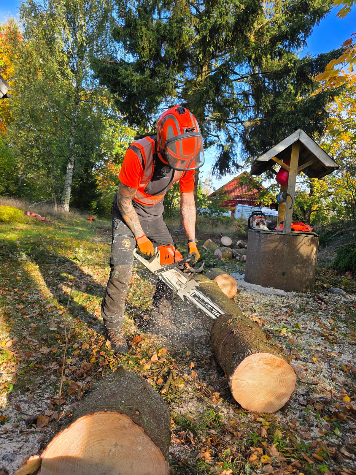 Projektbild 5 från trädvård och trädfällning utförd av Gustavssons Skog & Trädvård AB