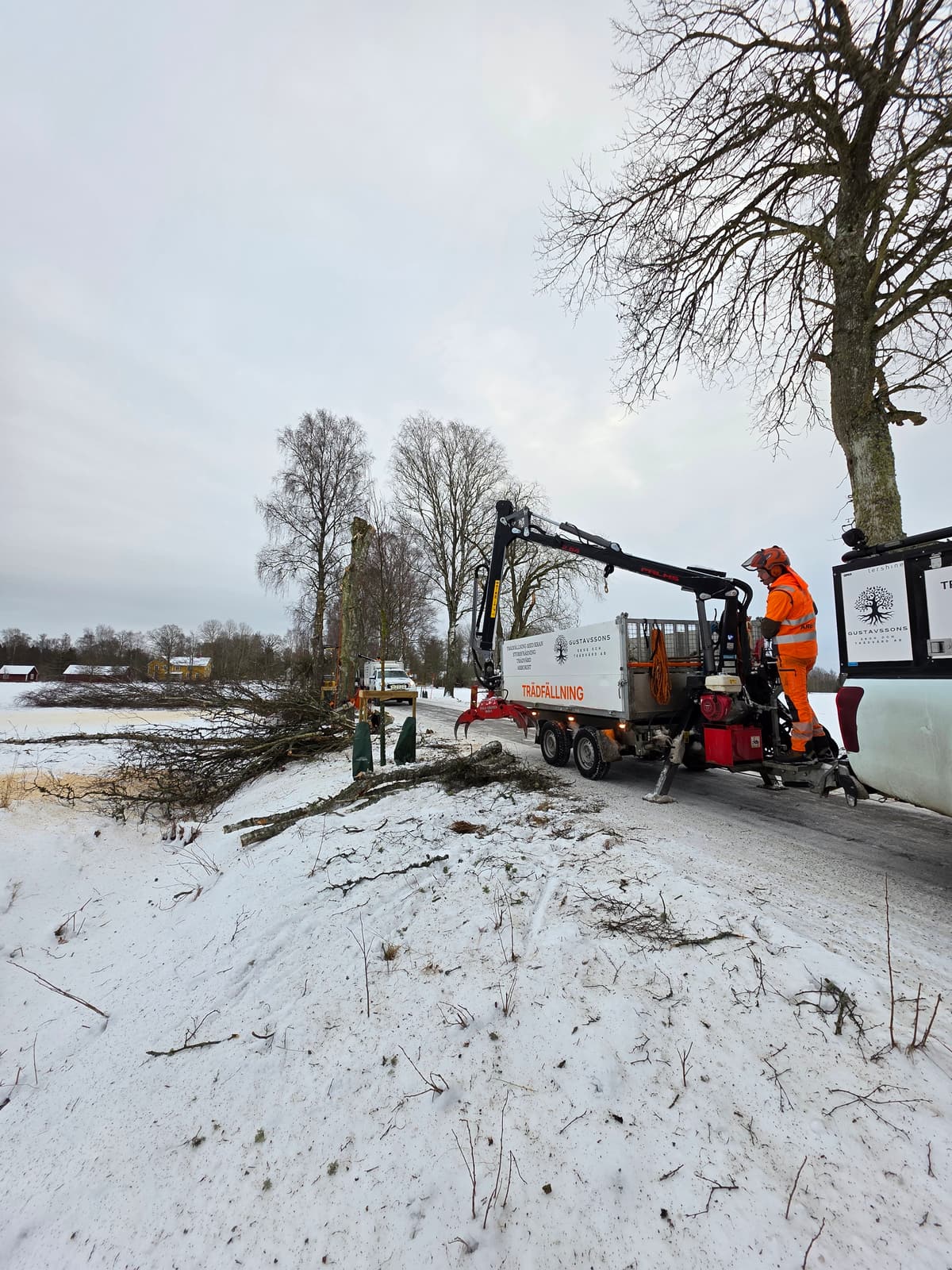 Projektbild 18 från trädvård och trädfällning utförd av Gustavssons Skog & Trädvård AB
