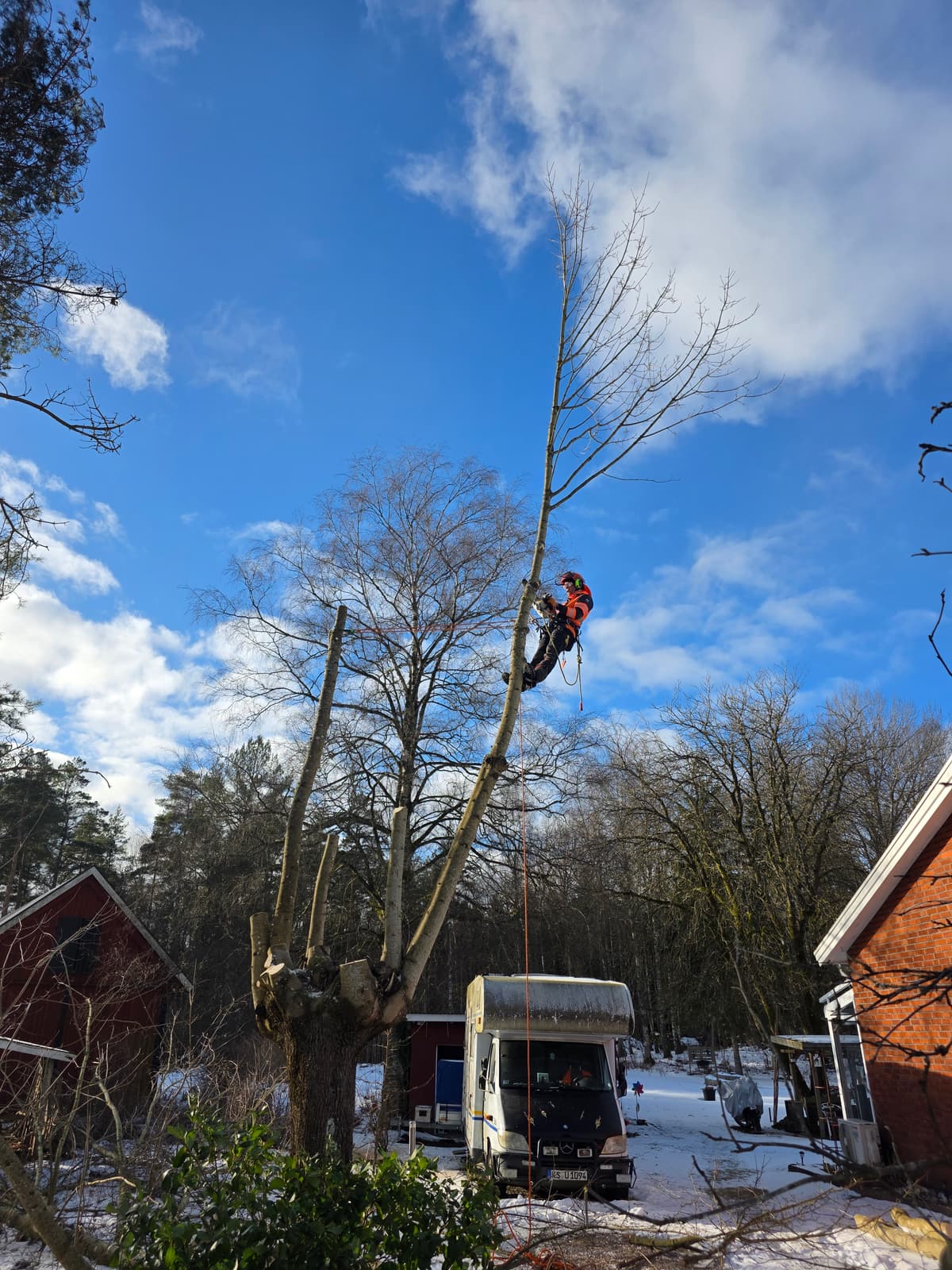 Projektbild 20 från trädvård och trädfällning utförd av Gustavssons Skog & Trädvård AB
