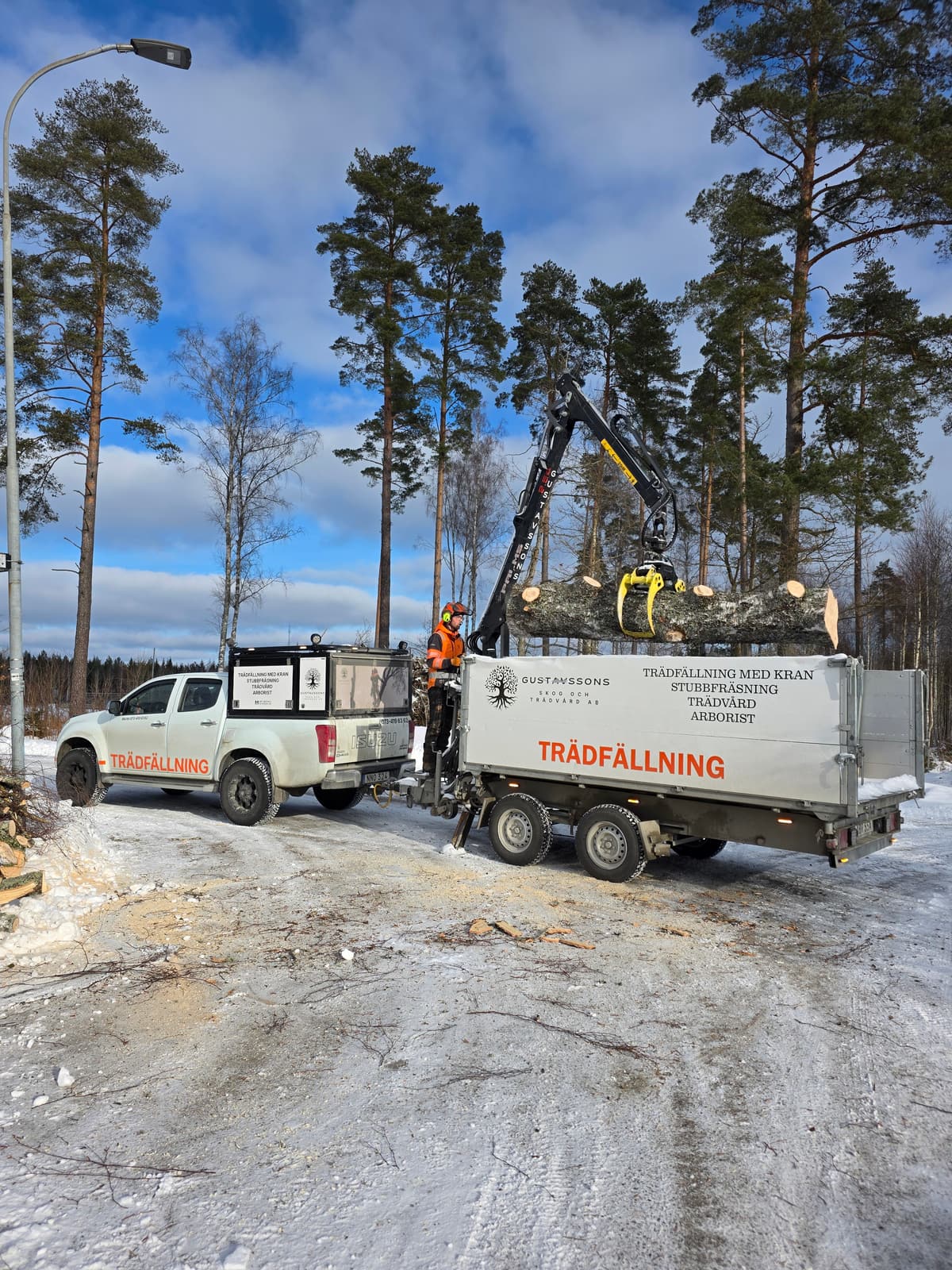 Projektbild 21 från trädvård och trädfällning utförd av Gustavssons Skog & Trädvård AB
