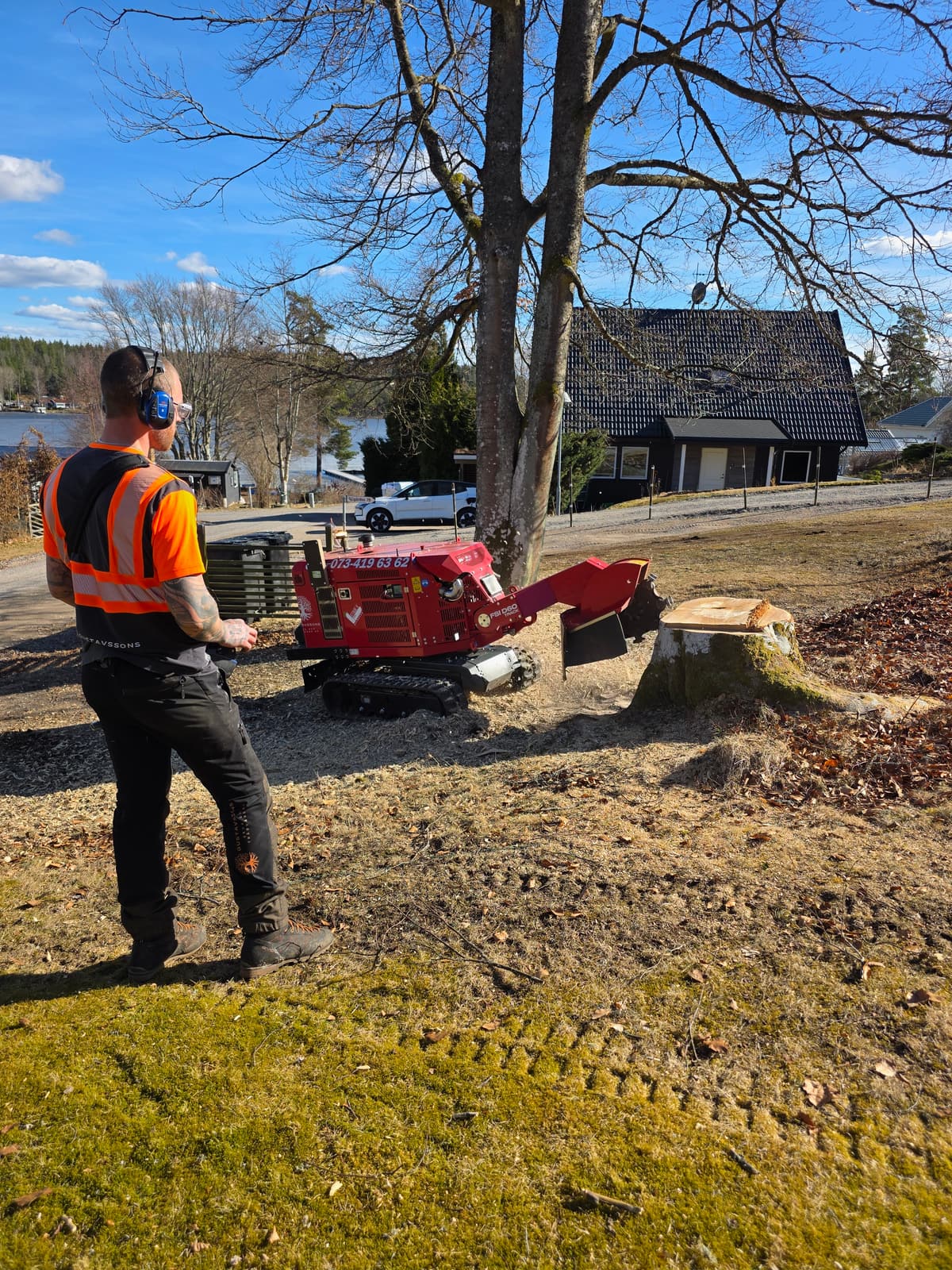 Projektbild 26 från trädvård och trädfällning utförd av Gustavssons Skog & Trädvård AB