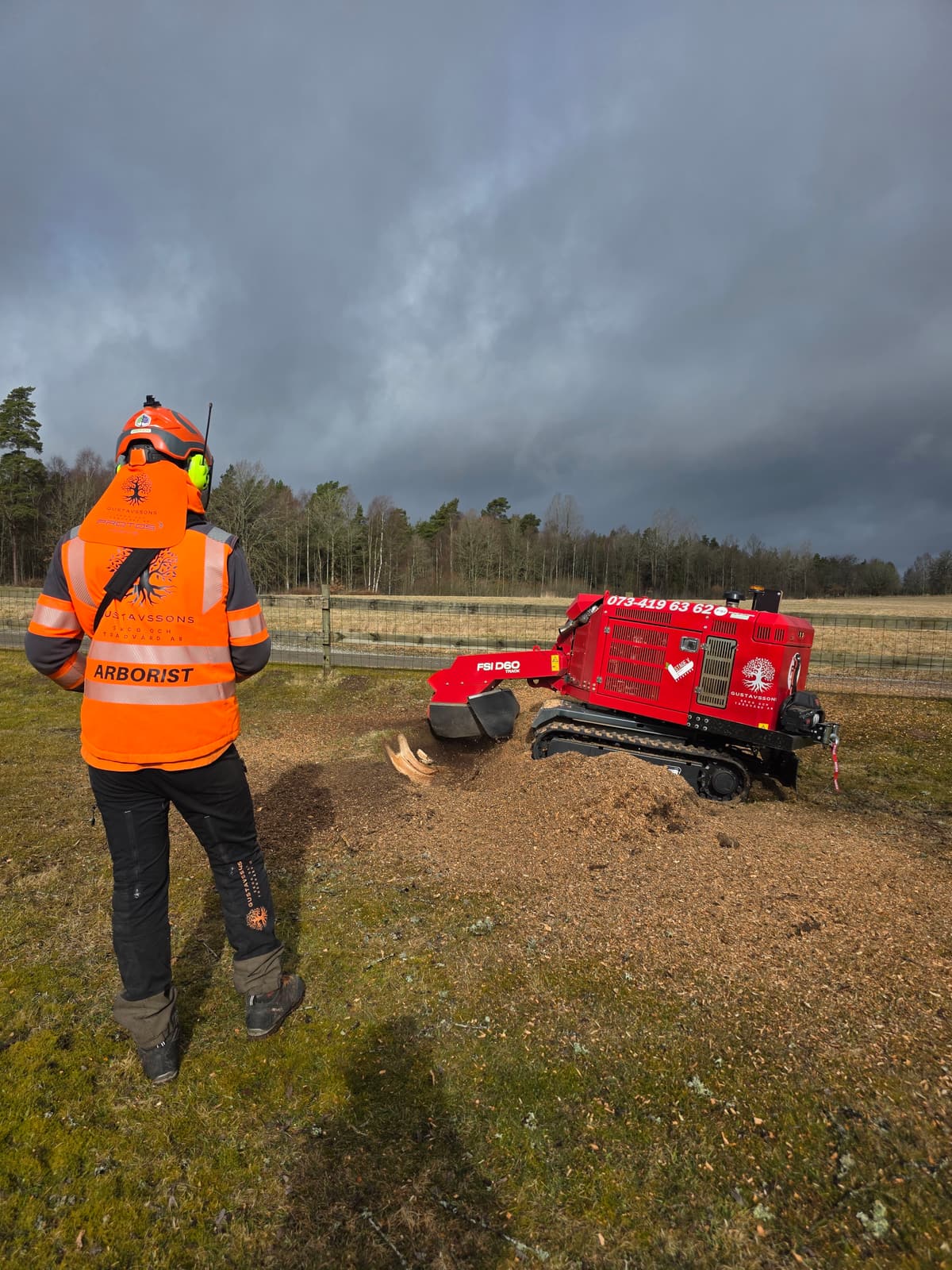 Projektbild 30 från trädvård och trädfällning utförd av Gustavssons Skog & Trädvård AB