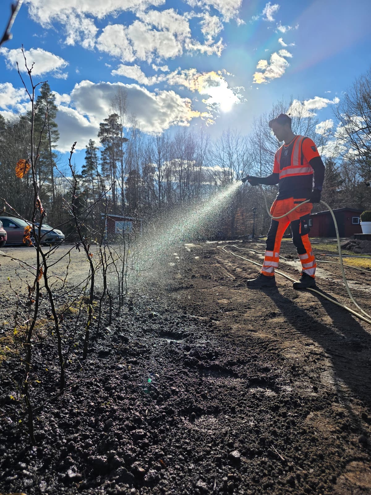 Projektbild 34 från trädvård och trädfällning utförd av Gustavssons Skog & Trädvård AB