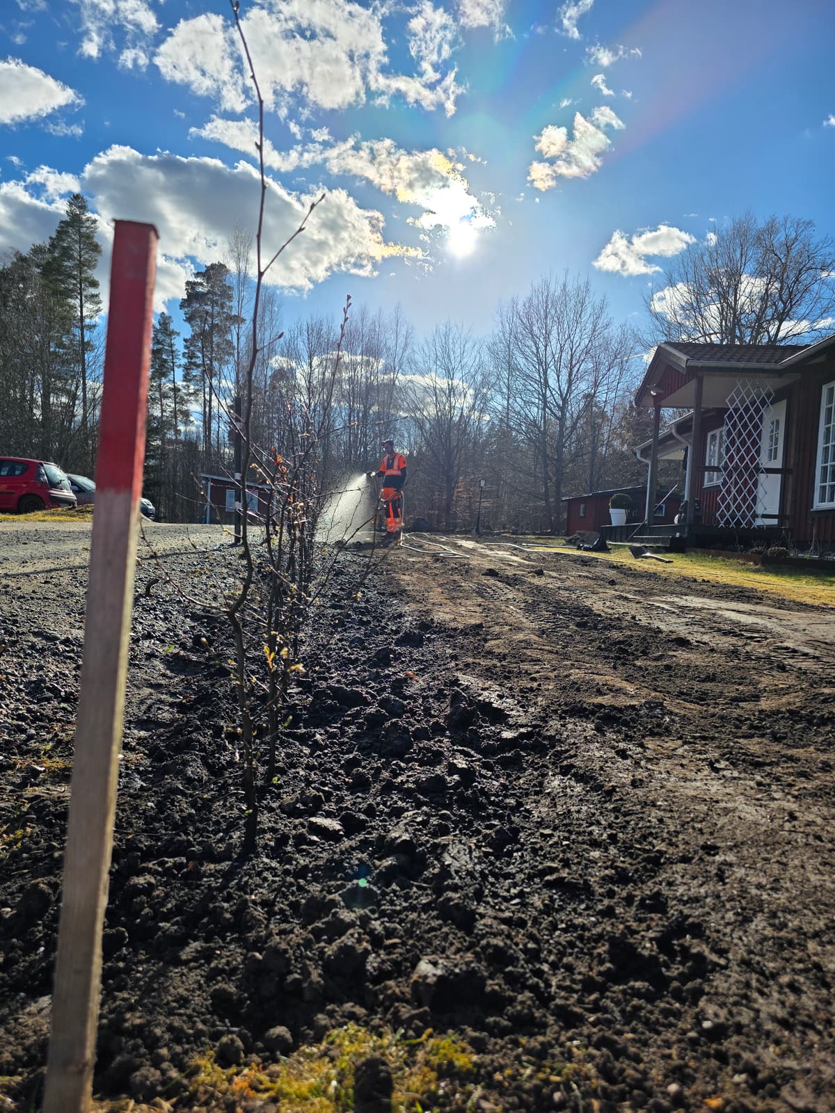 Projektbild 35 från trädvård och trädfällning utförd av Gustavssons Skog & Trädvård AB