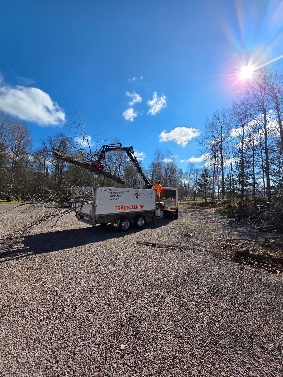 Projektbild 36 från trädvård och trädfällning utförd av Gustavssons Skog & Trädvård AB