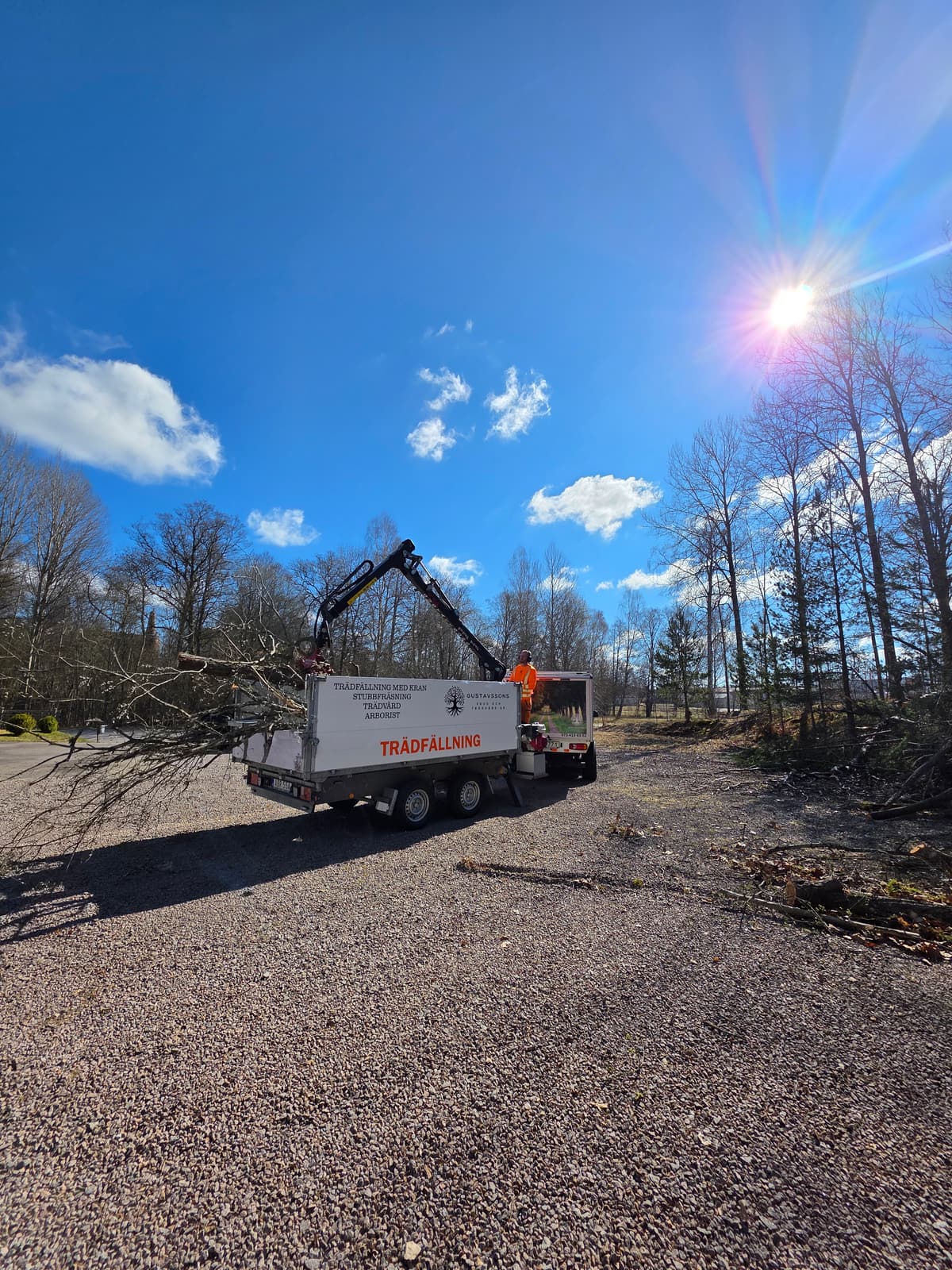 Projektbild 37 från trädvård och trädfällning utförd av Gustavssons Skog & Trädvård AB