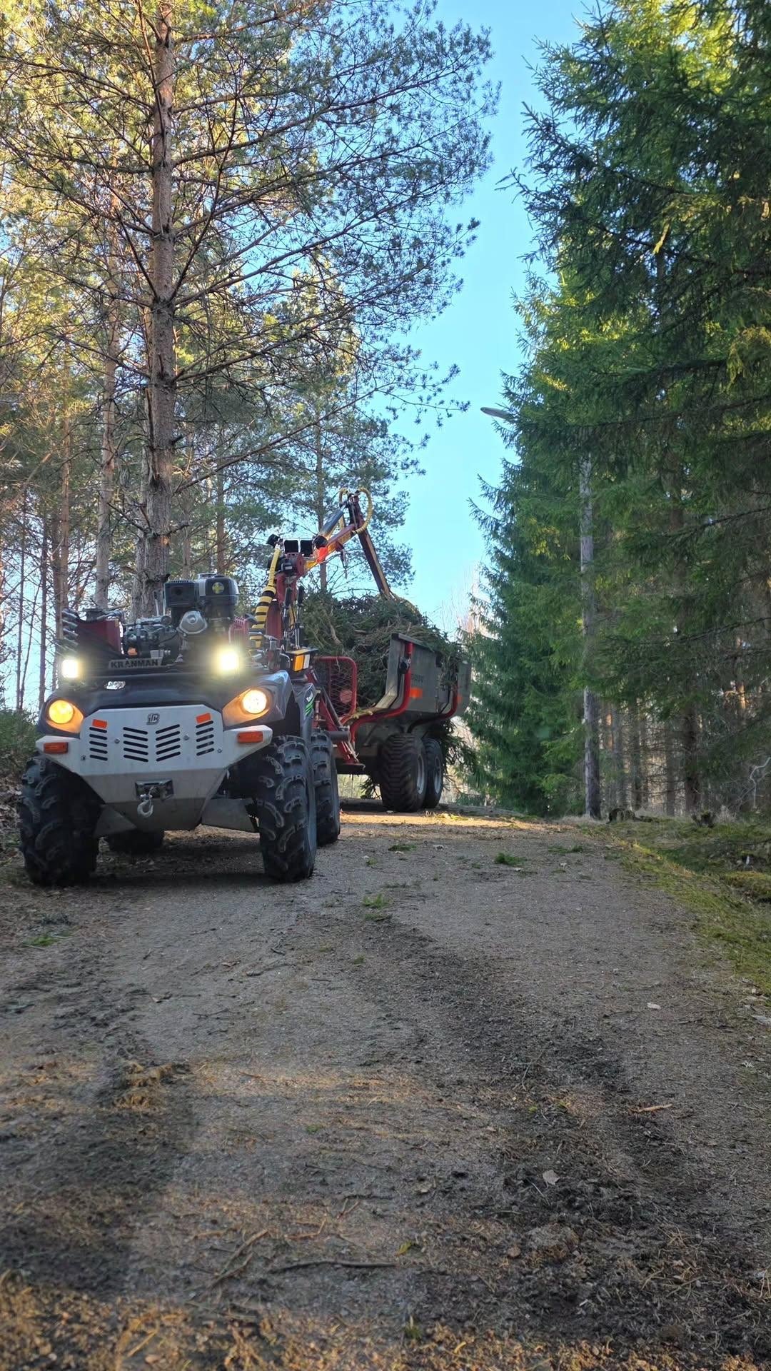 Galleribild 52 från trädvård och trädfällning utförd av Gustavssons Skog & Trädvård AB