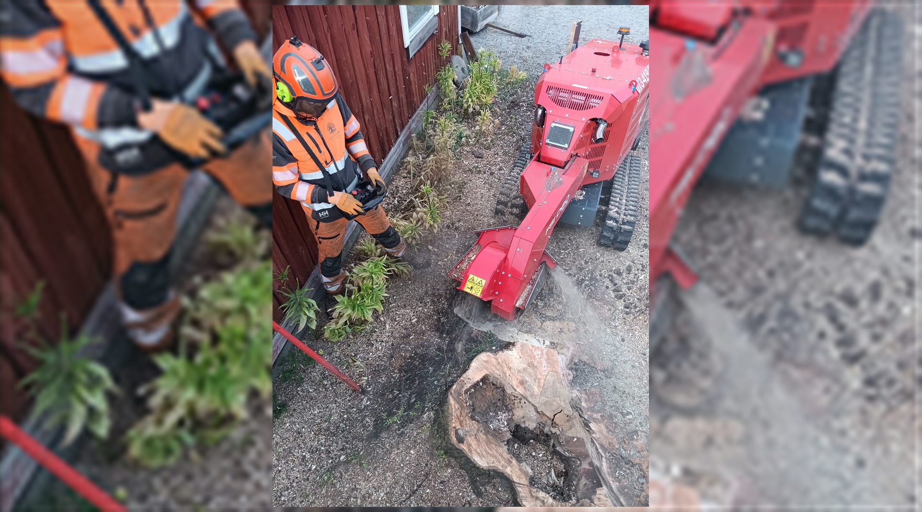 Flisning av grenar och ris efter trädarbete